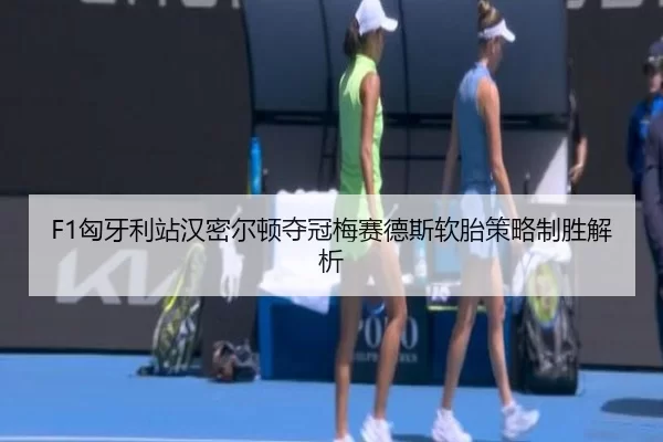xiong-ya-li-zhan-han-mi-er-dun-duo-guan-mei-sai-de-si-ruan-tai-ce-lve-zhi-sheng-jie-xi-3-955.jpg